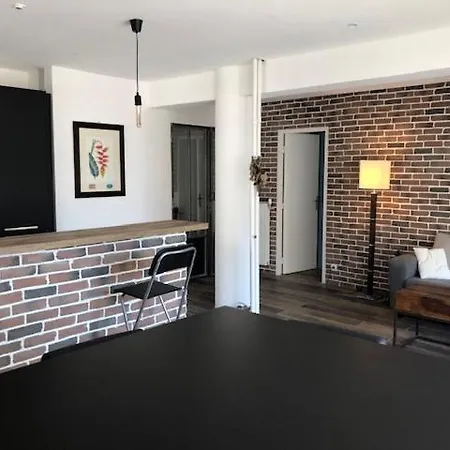 Riopassions T3 Design Industriel Apartmán Toulon